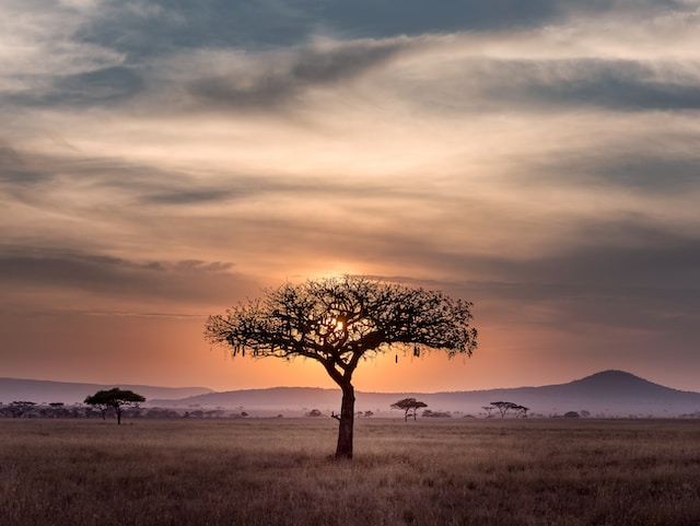 africa