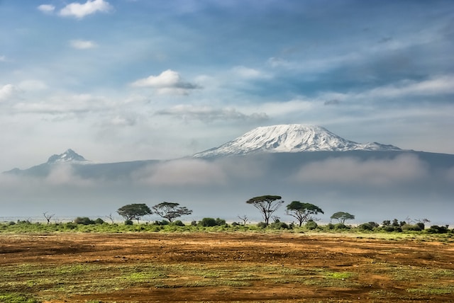 africa