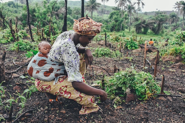 africa