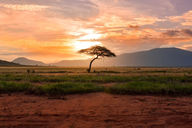 africa